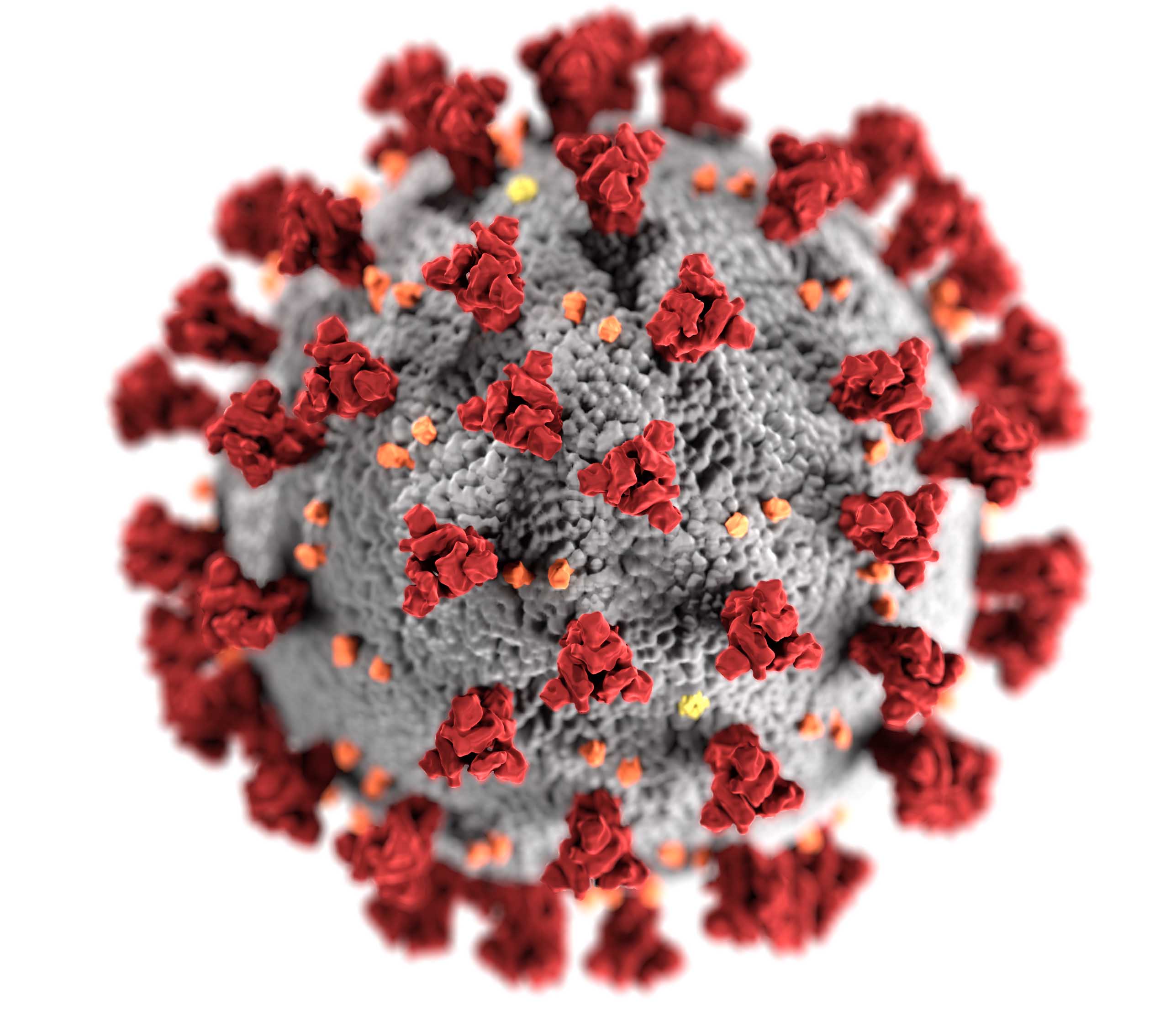 covid-19 virus rendering