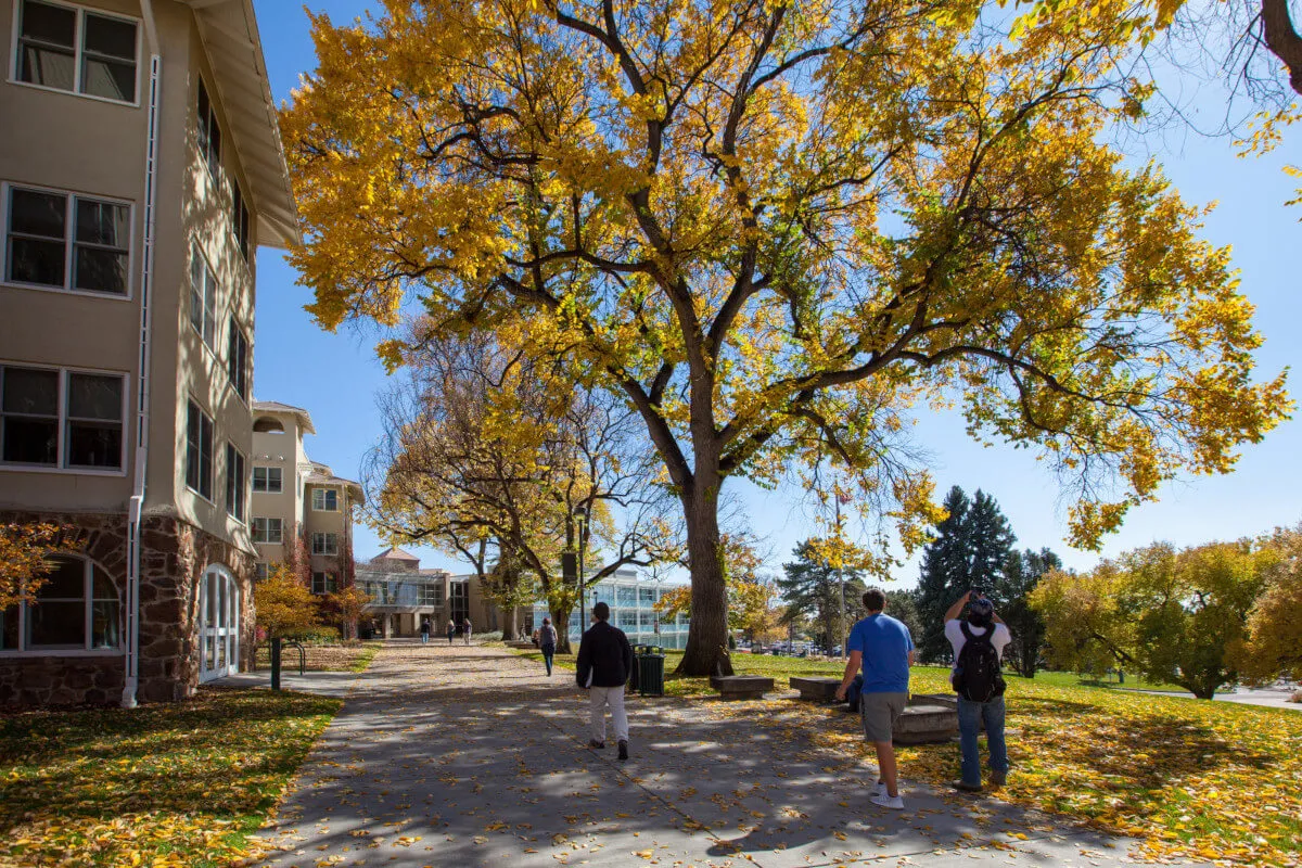 students on campus