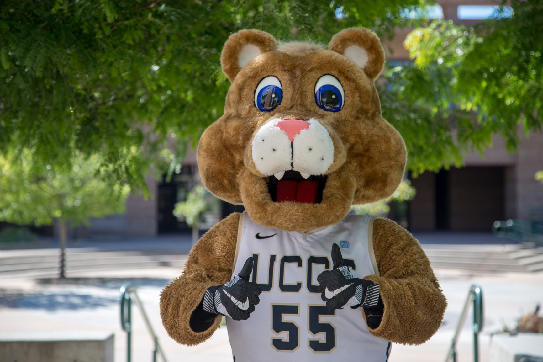 UCCS Undergraduate Office of Admissions UCCS
