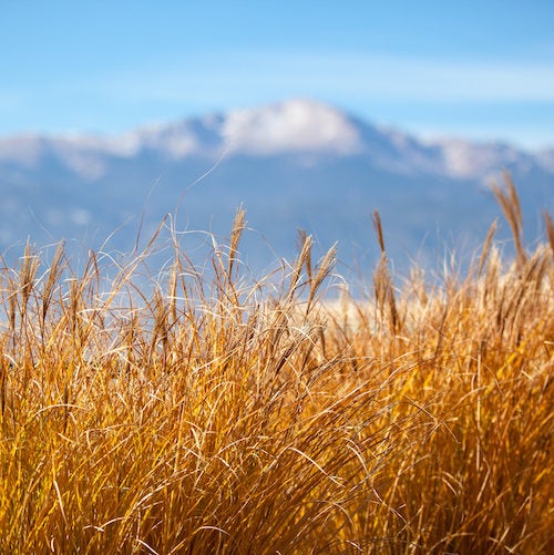 Pikes Peak